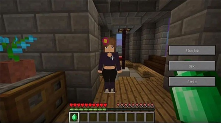 �ҵ���������ģ��ֱװ��(Jenny Mod)v5.80 ���°�