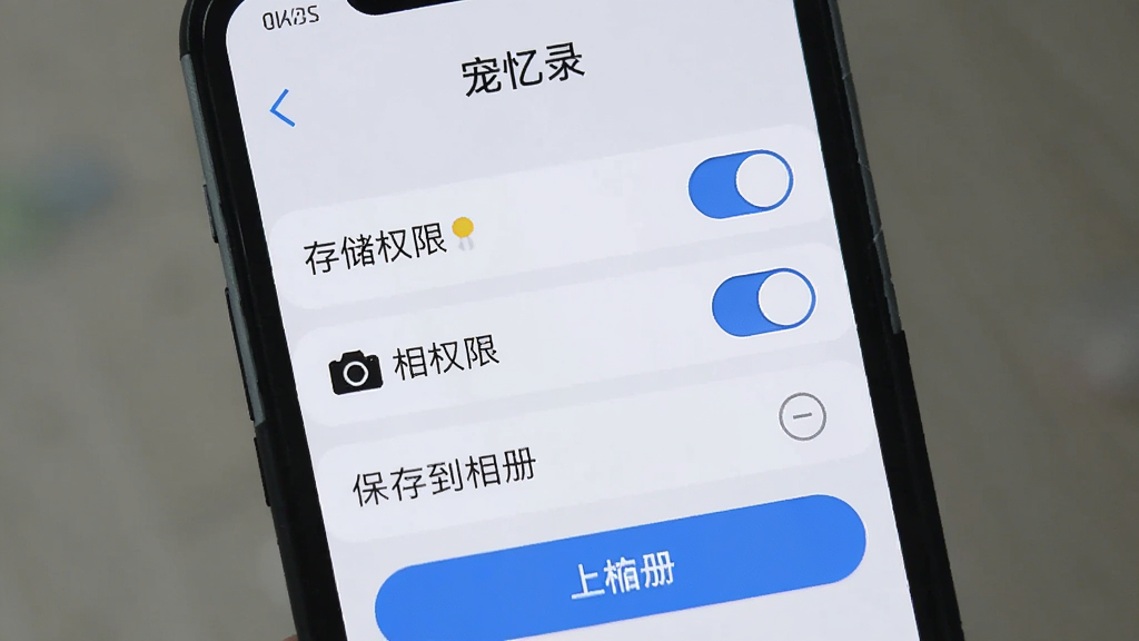 手机屏幕显示宠忆录应用设置界面,有存储权限开关、相机权限开关、保存到相册选项等,界面简洁明了,浅色背景,蓝色高亮按钮,高清画质,干净排版,无多余元素