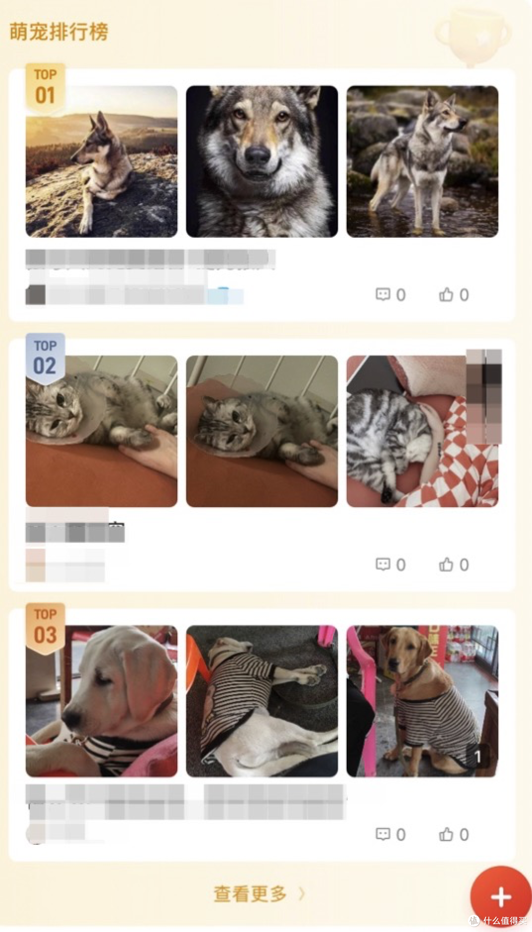 宠忆录记录毛孩子日常回忆的方法和界面展示