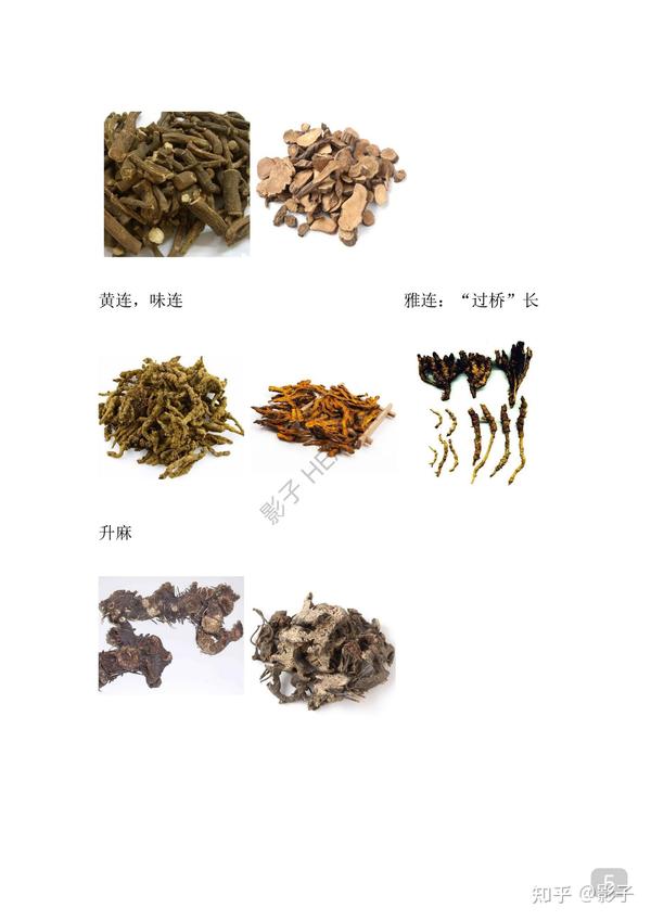 珍药材泡水测试 气味味道辨别实拍图