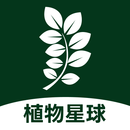 ֲ�������