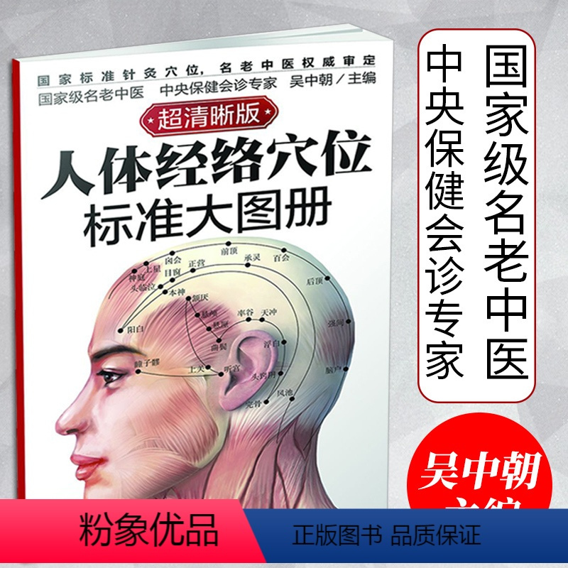 中华经络穴位图解大全 人体经络穴位分布图 精准找穴方法
