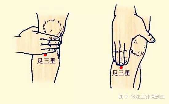中华经络穴位 足三里合谷内关穴位定位图解 真人示范