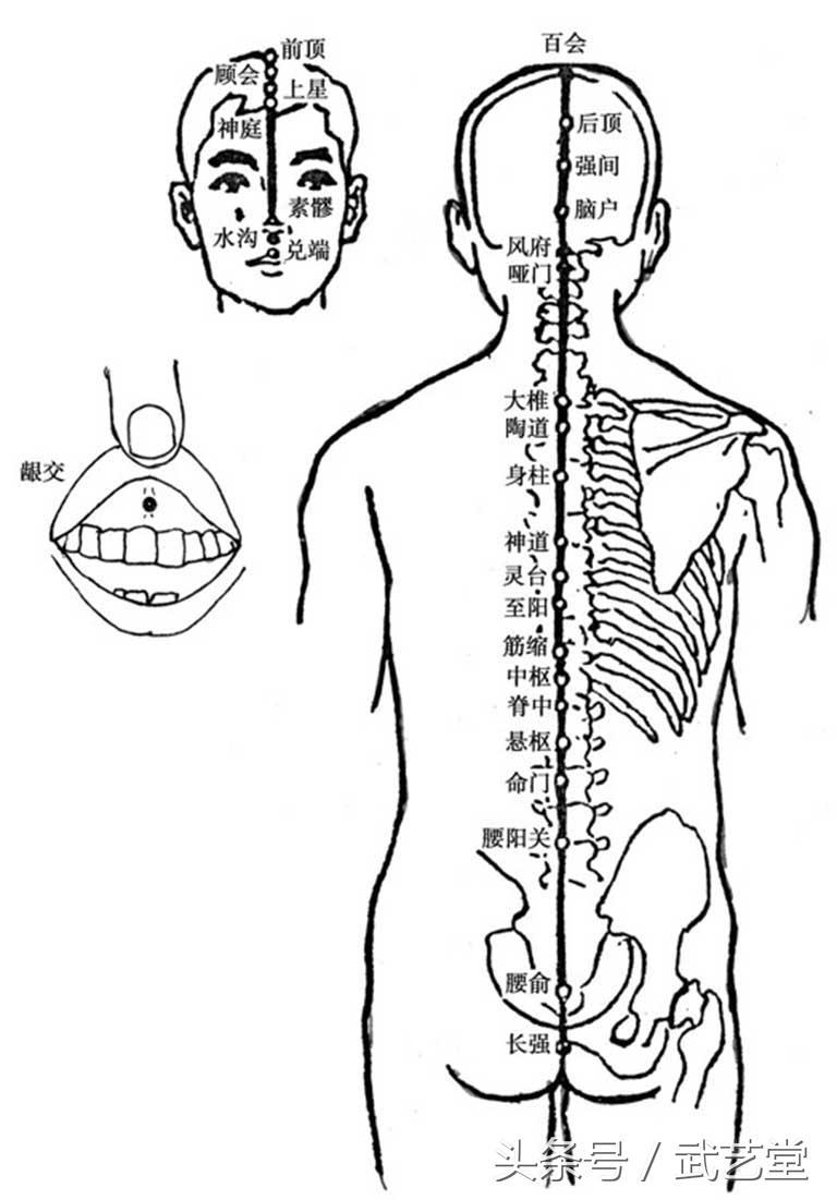 中华经络穴位 找穴常见误区 胖瘦体型穴位定位差异