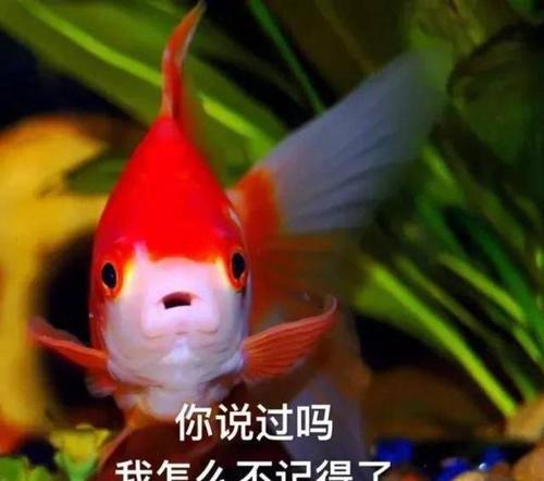 ���������ֻ������ȴ������������ �����ʹ�ó�����ͼ