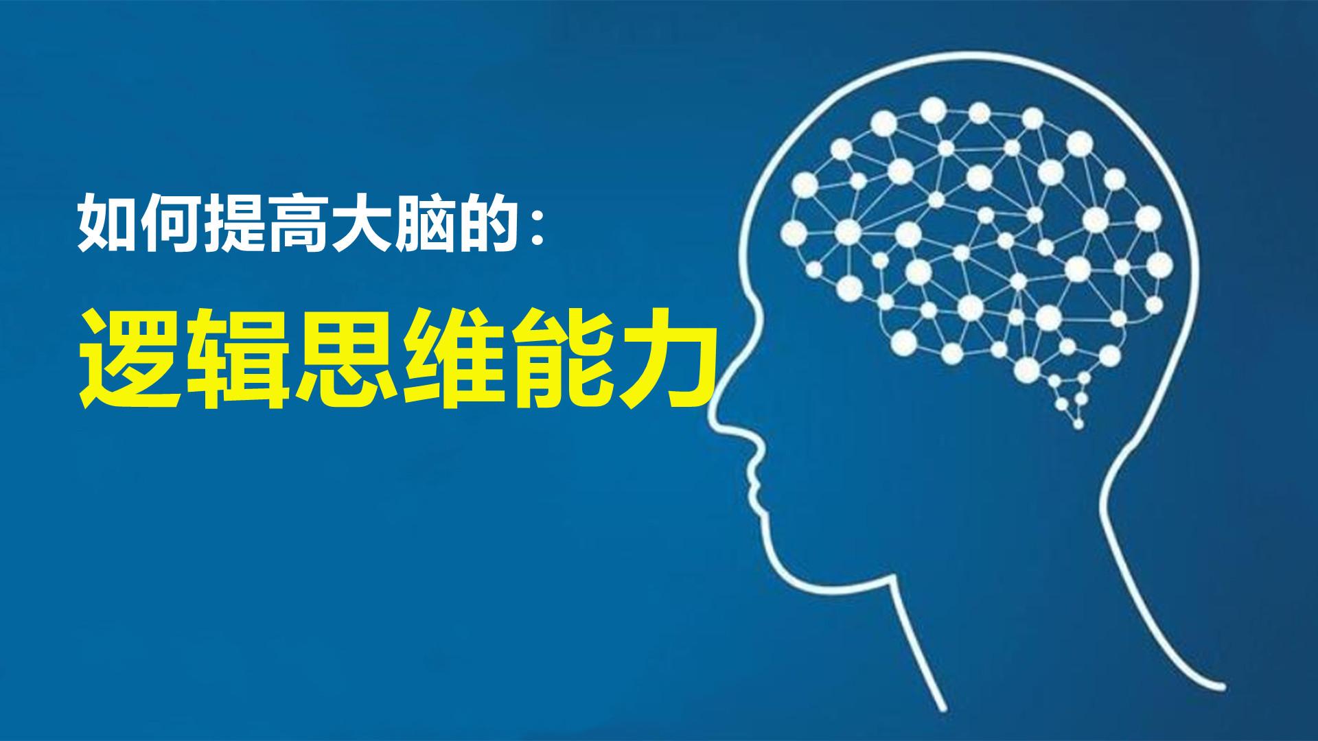 脑瓜动不停教你快速提升逻辑思维力 普通人日常训练大脑的场景图