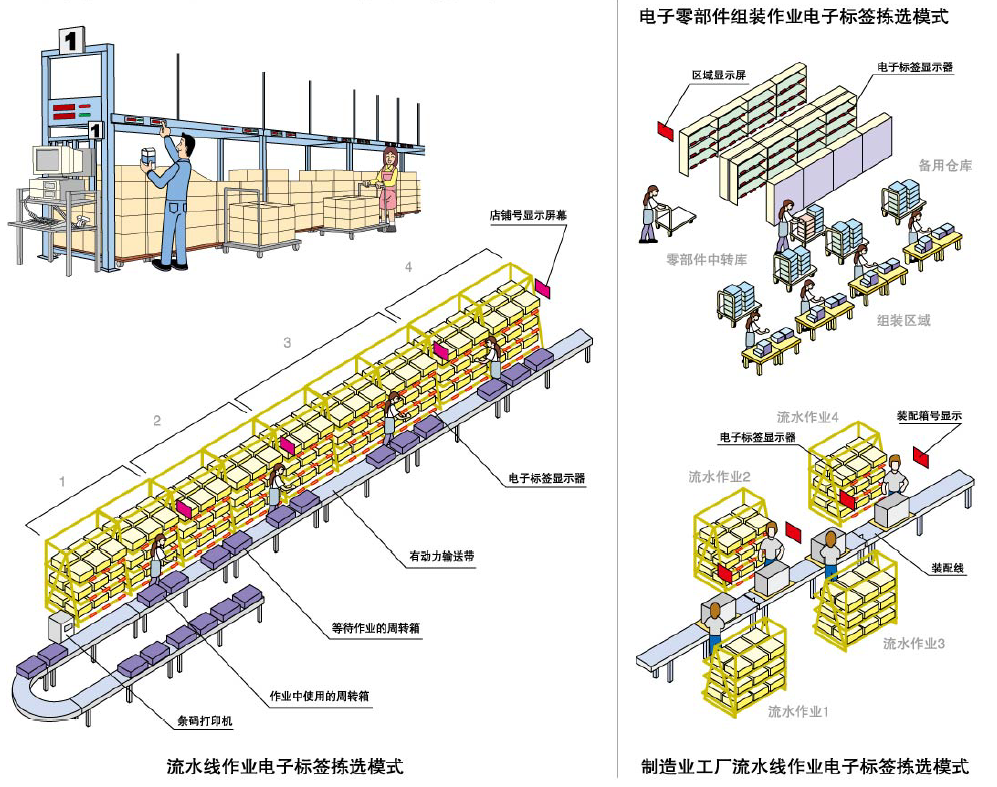 零供云生鲜仓储分拣环节降低损耗的实际操作