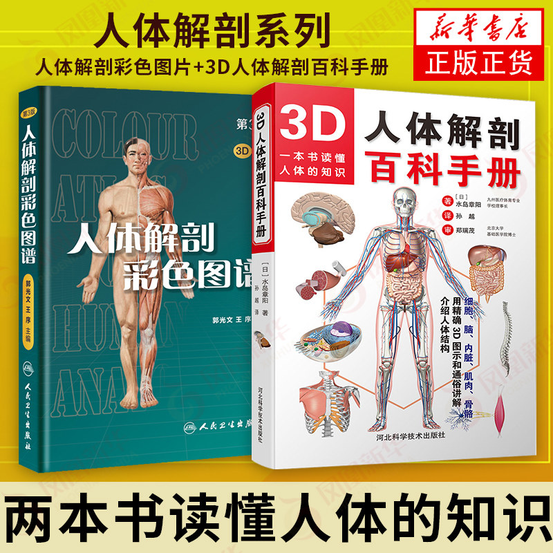 人体解剖学图集彩色分系统图谱打印效果