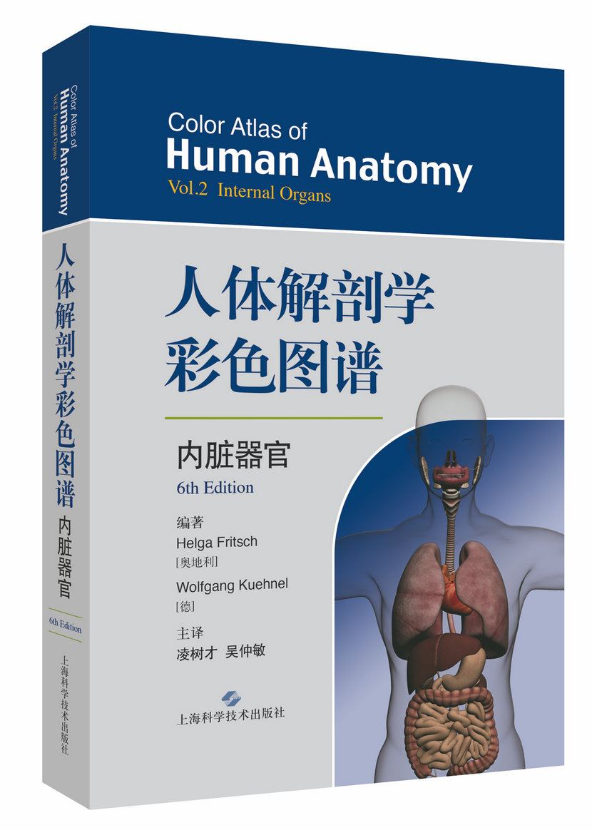 人体解剖学图集高清彩色版可打印全套资源