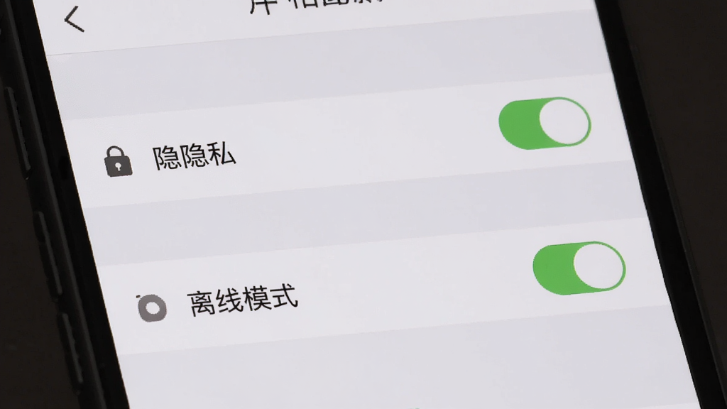 手机界面展示相册设置页面,主体是隐私开关和离线模式选项,布局为列表式,排版整洁,风格为素雅极简,细节包括锁形图标和开关按钮,画质高清,干净,无多余元素