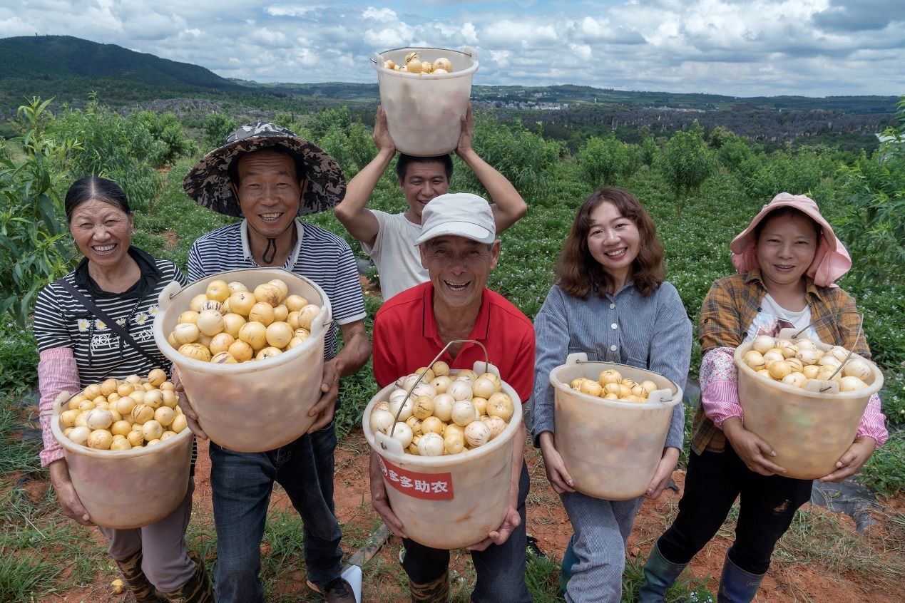 西部好物原产地直发农户合作社实拍