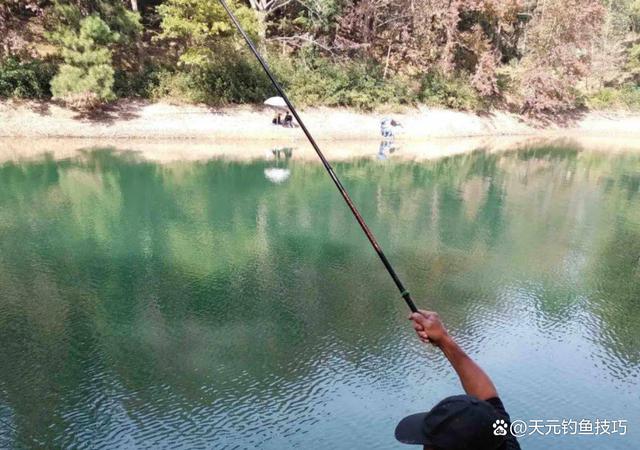 HowtoFish 新手钓鱼入门技巧 从选竿配线到调漂提竿全流程要点图解