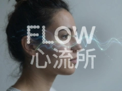 FLOW����������ʽ��ѹ����ָ��