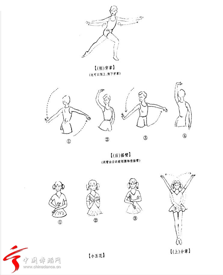 艺体动律基础入门教程 零基础动作分解配图