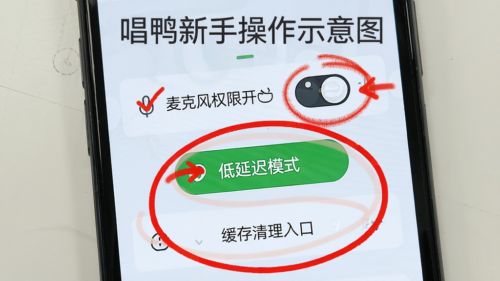 唱鸭新手操作示意图,画面展示一部手机屏幕,上面标注了麦克风权限开关、低延迟模式按钮、缓存清理入口三个关键设置项,用红色圆圈和箭头突出显示,背景为浅色界面,风格简洁直观,画质清晰,无杂乱元素