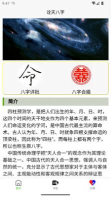 诠天八字 安卓版 排盘界面
