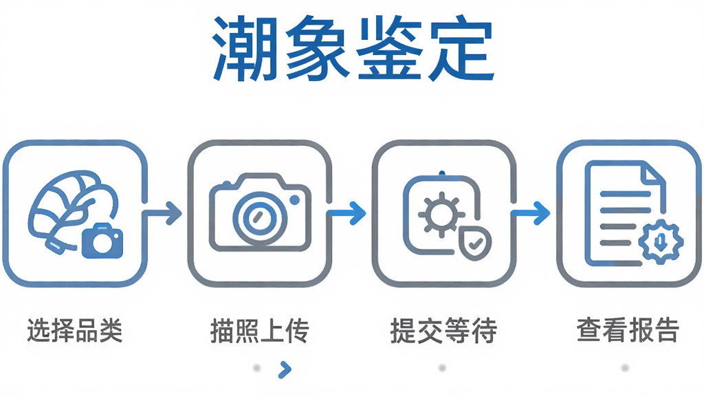 潮象鉴定操作流程引导图,画面以横向流程图形式展示,从左到右依次为选择品类图标、拍照上传图标、提交等待图标、查看报告图标,每个步骤下方有简短中文说明,流程图上方有