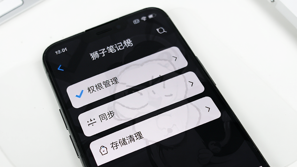一部手机展示“狮子笔记”设置界面的截图,界面中有权限管理、同步选项和存储清理等条目,背景为干净的白色桌面,风格清爽,画质清晰,无多余元素