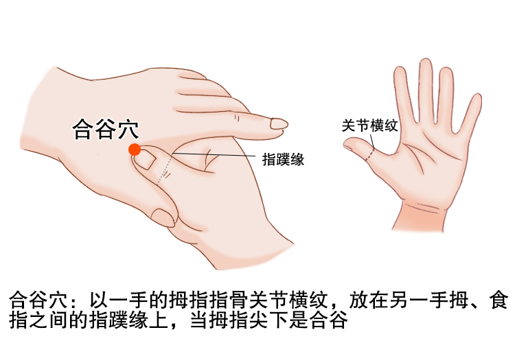 中华经络穴位 合谷穴 内关穴 找穴手法
