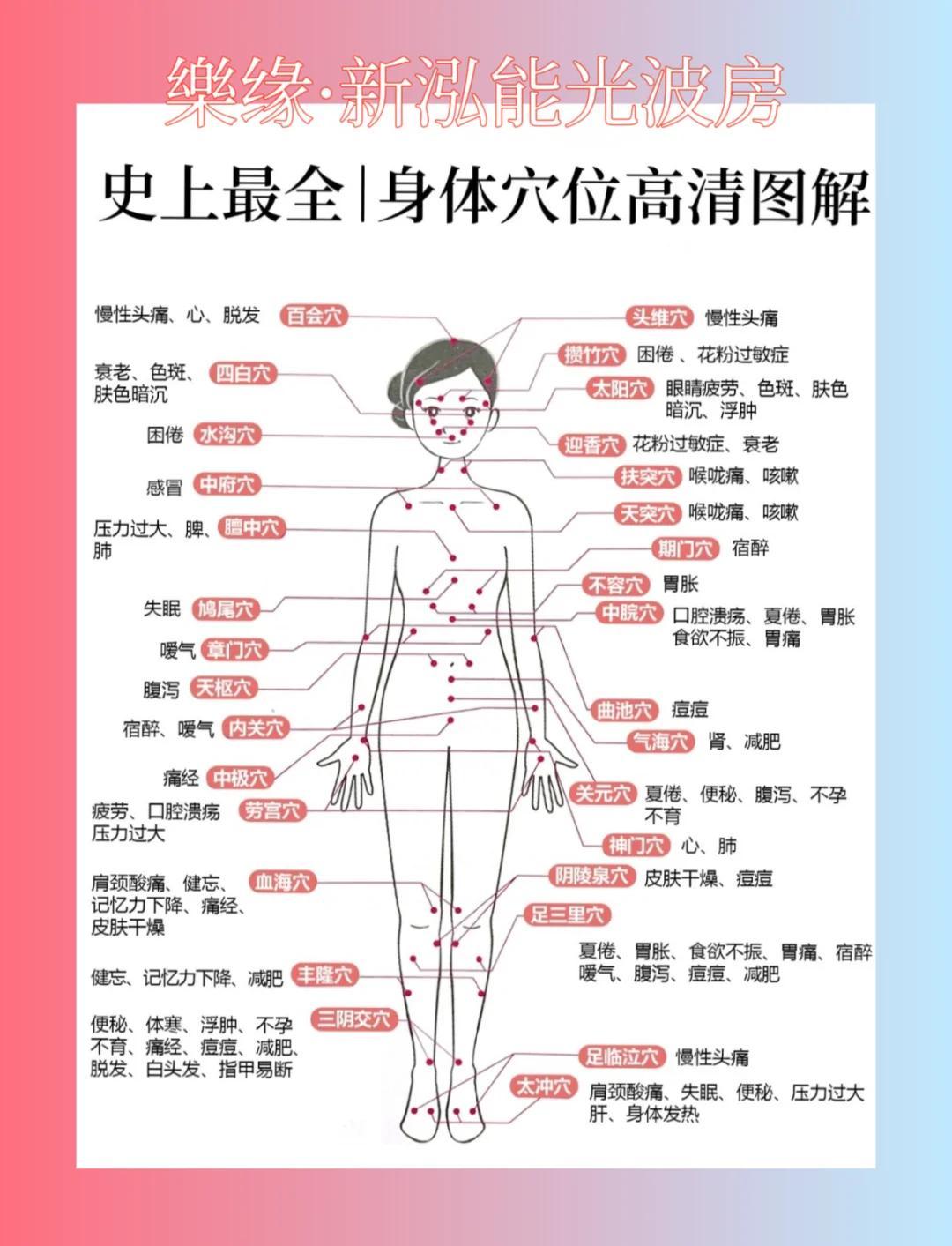 中华经络穴位图解大全 常用穴位位置 养生保健