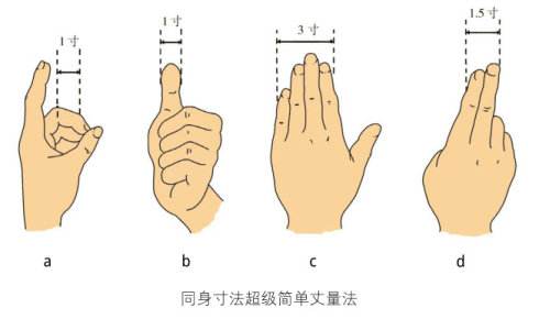 中华经络穴位 同身寸测量方法 手指比量