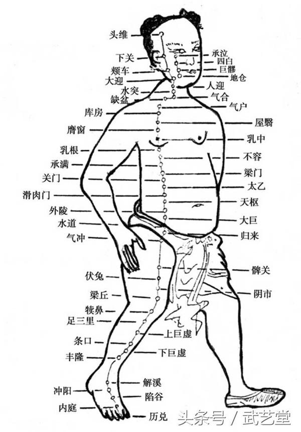 中华经络穴位图解大全 找穴方法 人体穴位图