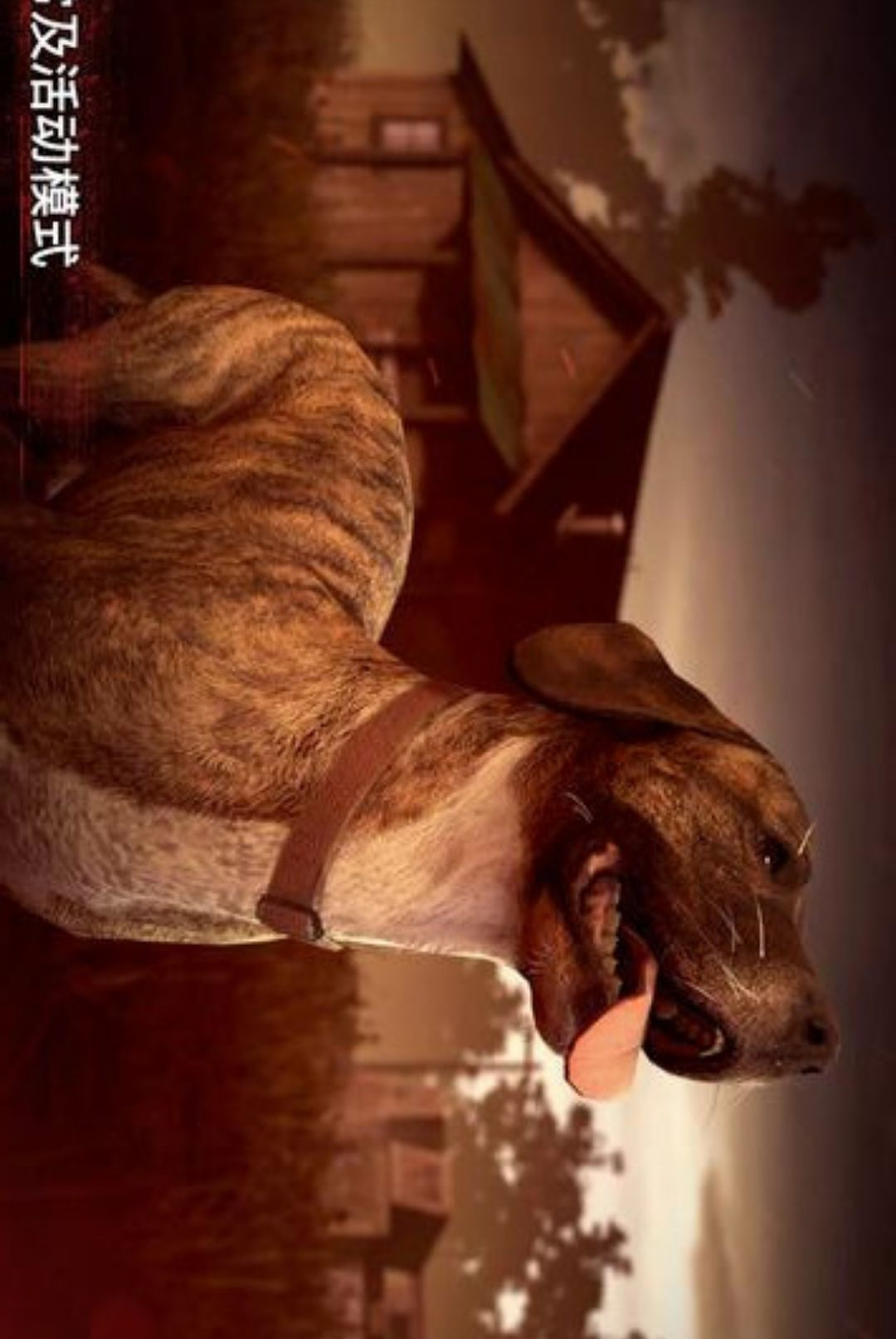�´����˹�(Into the Dead)2.9.5 ĩ���ܿ����