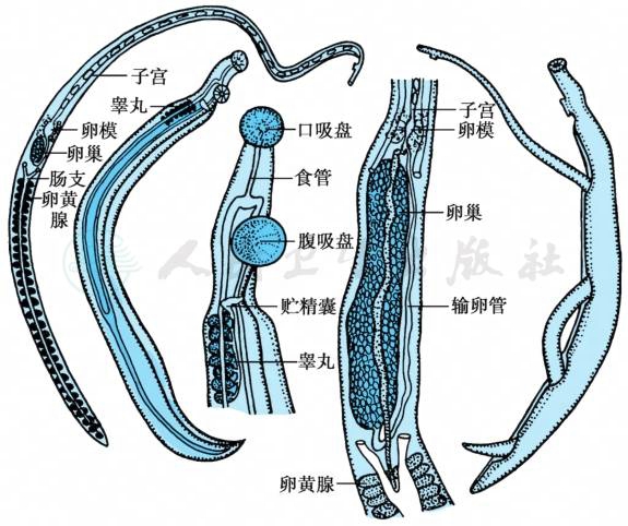 智唐 安卓版 界面