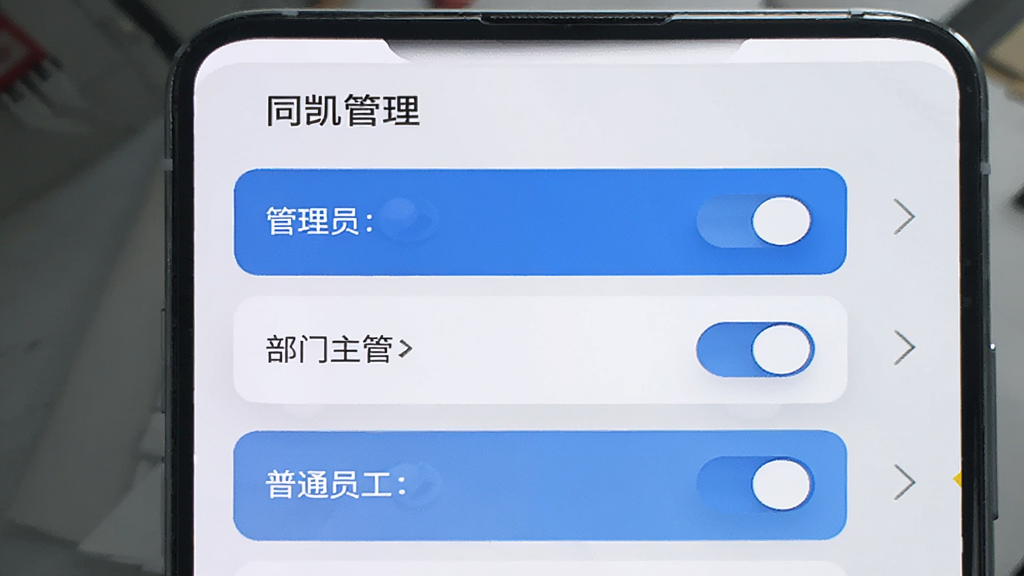 展示