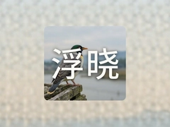 �����峿���ָ�ϴ��㷢������С����