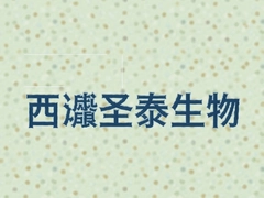����ʥ̩������ô��������