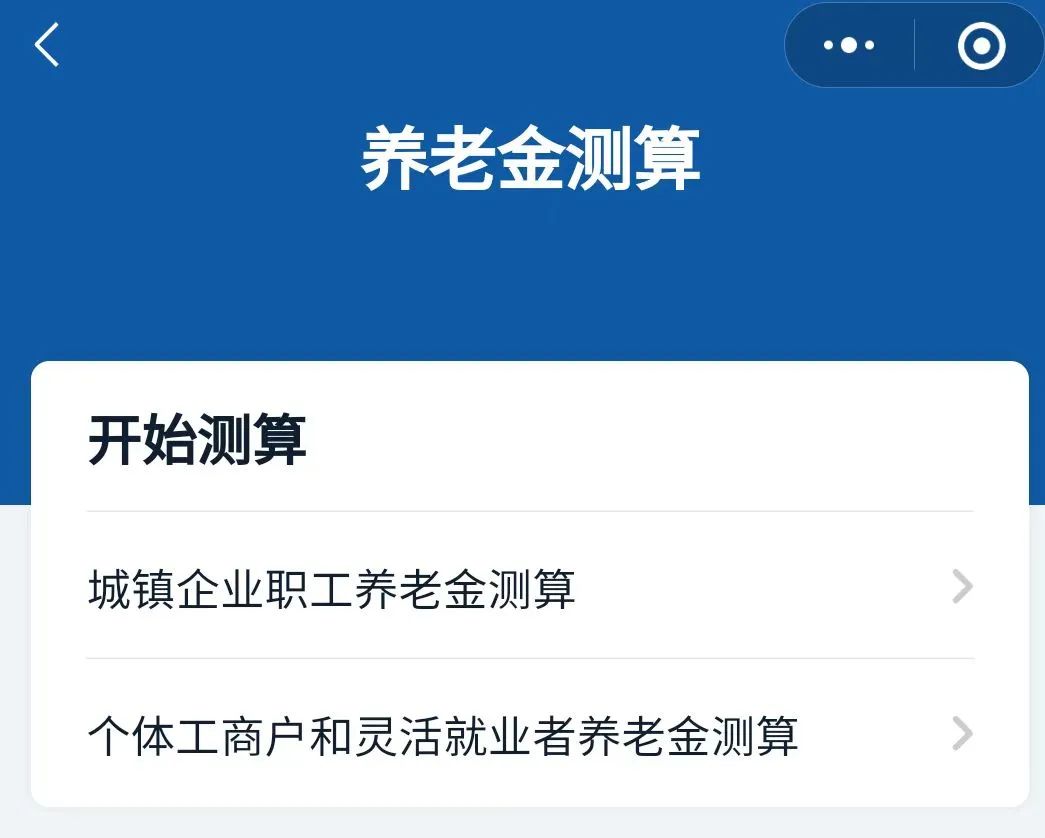 社保养老云计算 养老金测算工具页面截图
