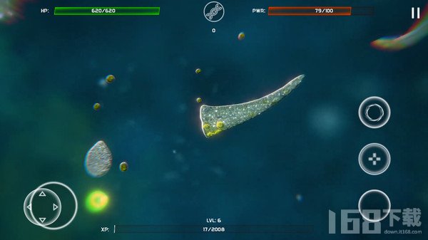 Cell Survivor 安卓版 游戏截图 细胞进化界面