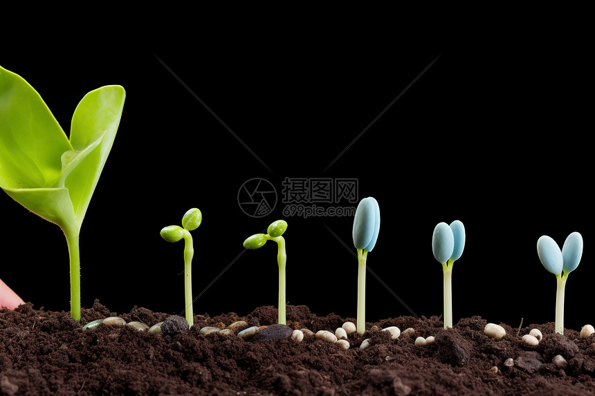 植物的星球 种子休眠 古莲子发芽配图