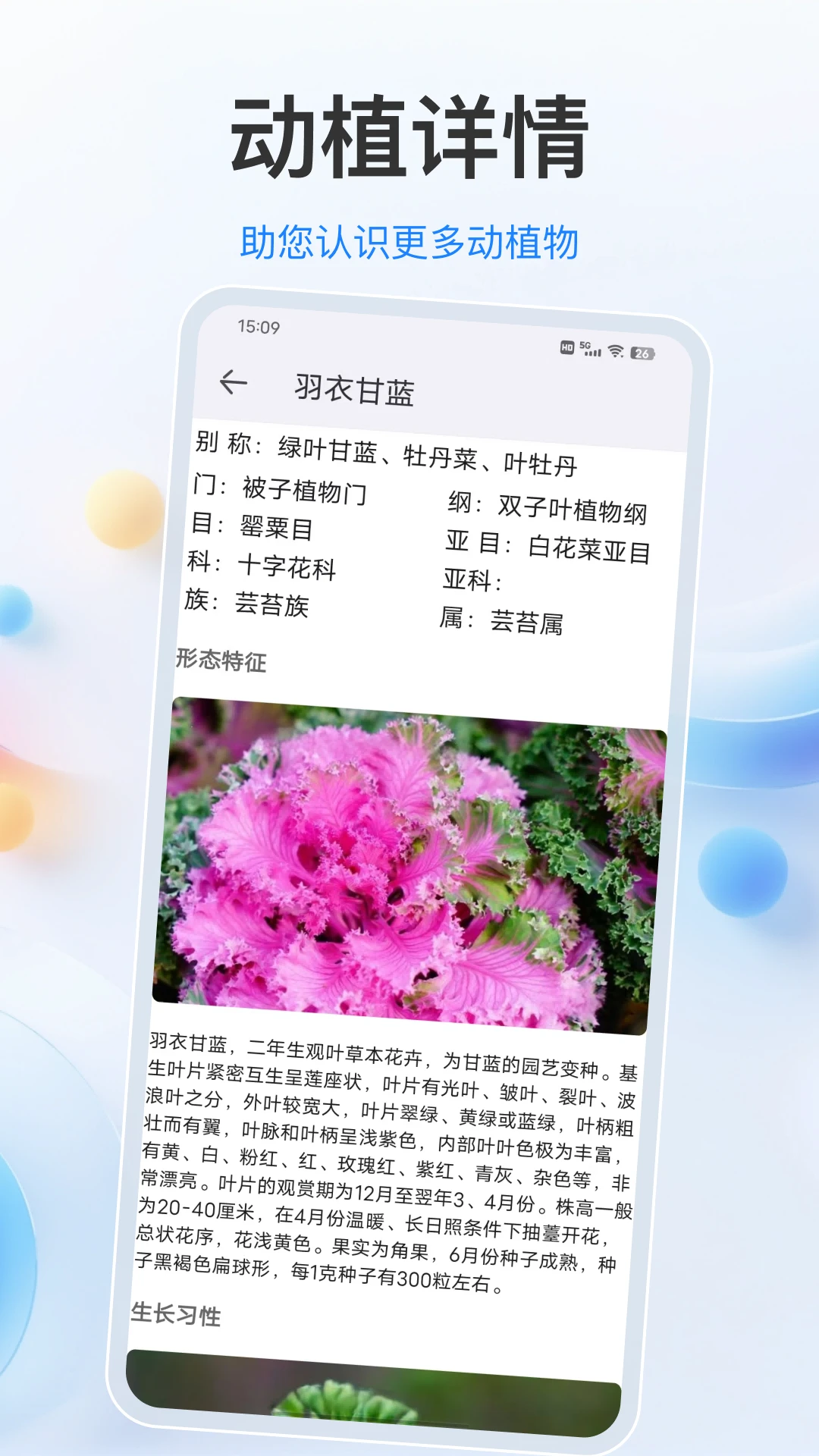 ֲ���34.1.5 ����ʶ��