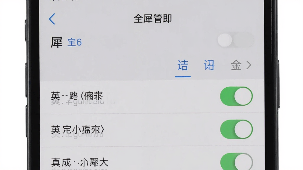 一张展示手机设置中“全犀”应用权限管理界面的截图风格图片,画面为手机屏幕特写,屏幕内显示权限开关列表,背景为浅灰色,风格干净简洁,细节清晰,画质高清,无多余元素