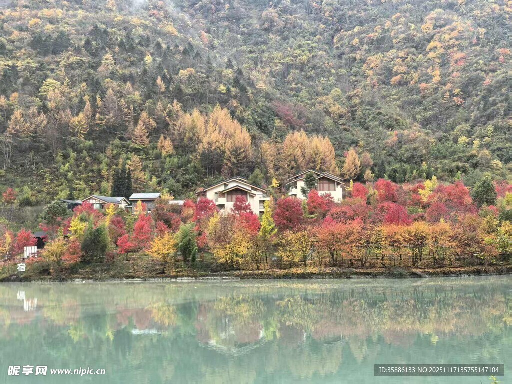 多彩理县秋日彩林自驾游住宿美食攻略图