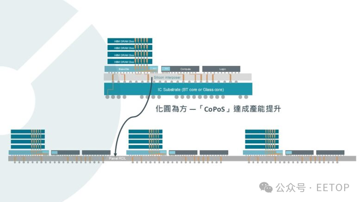 Copus App新手入门教程与核心功能详解 界面截图