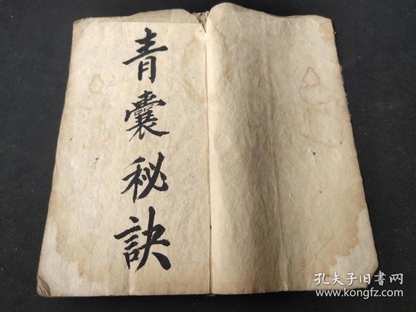 青囊秘传中医古籍养生祛病智慧封面图