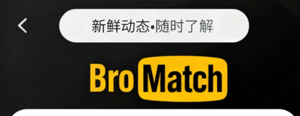 BroMatch高效匹配结果展示 快速处理数据