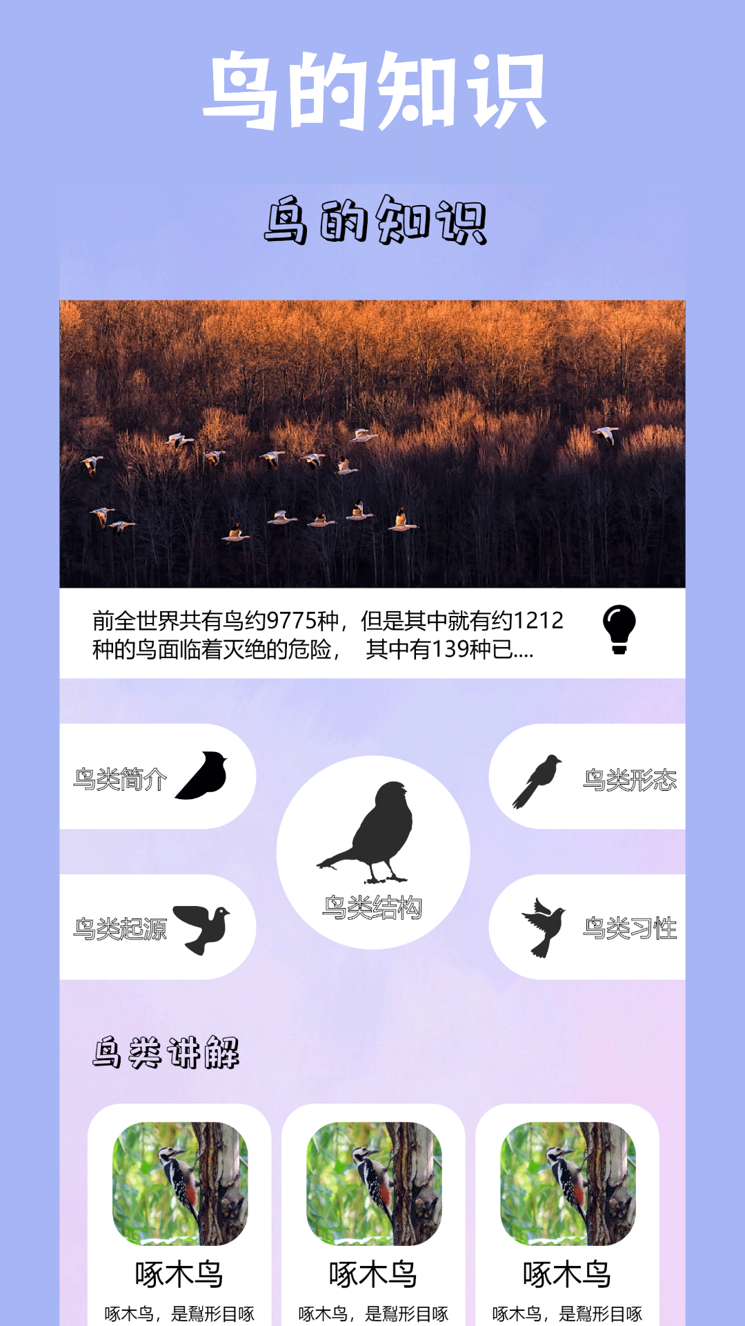 小鸟启程 安卓版 功能界面截图