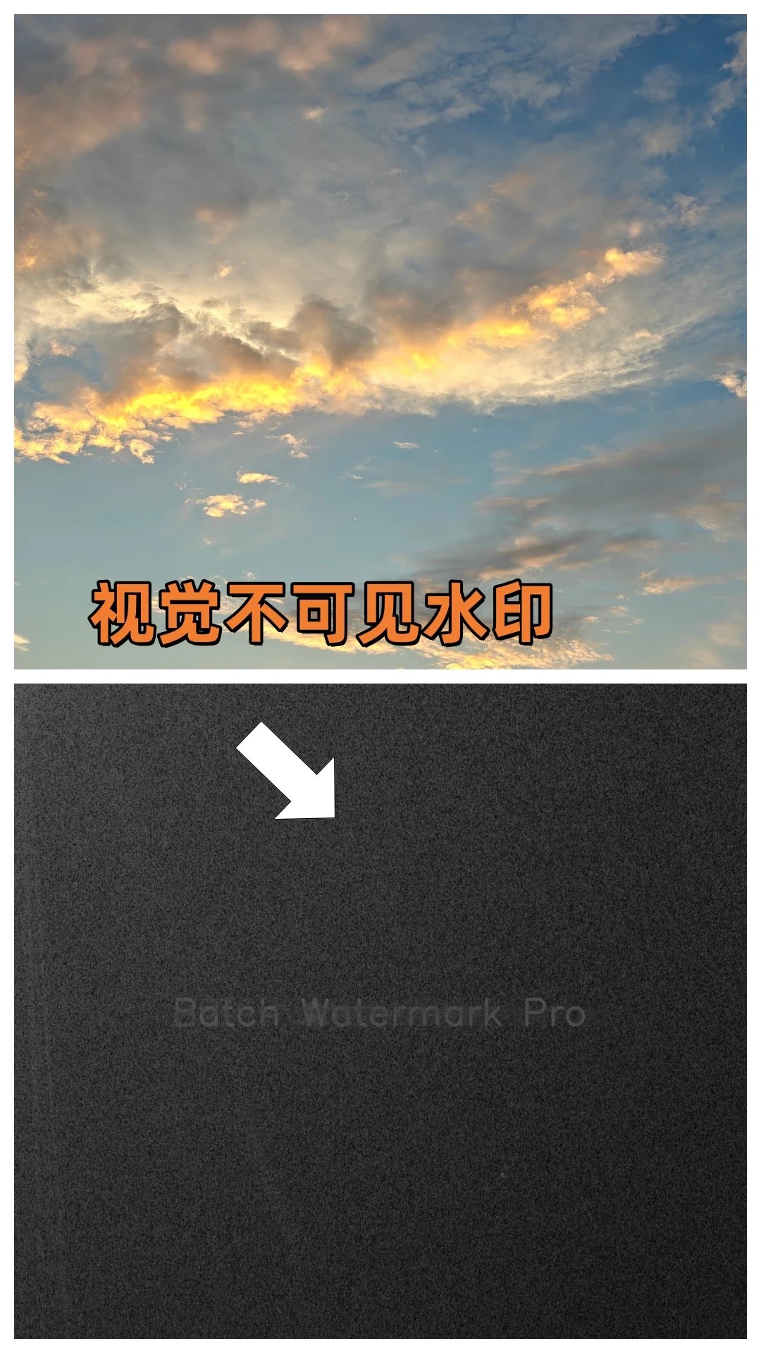 ����ˮӡPro6.0.15 2026 ������ˮӡ