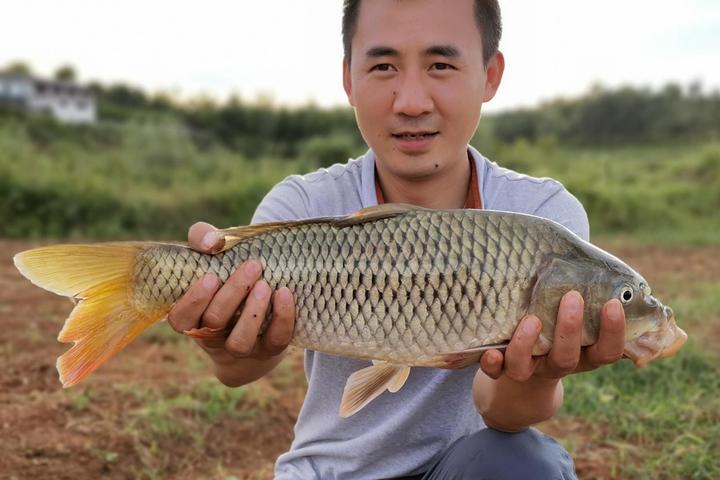 鱼口大师浮漂信号抓口技巧配图 鲫鱼鲤鱼吃口漂相图解