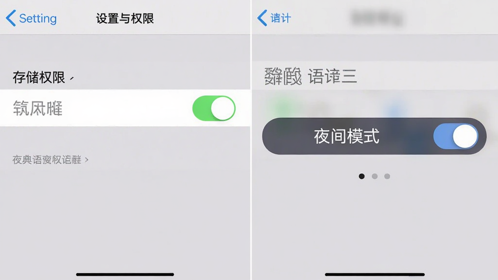 语文词典设置界面与权限管理截图,画面展示手机设置中的存储权限开关和软件内的夜间模式切换按钮,背景为简洁的灰色调,风格清晰,画质干净,无多余元素