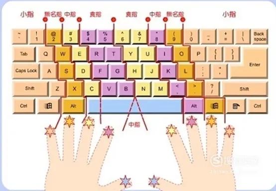 喵喵打字指法练习与盲打技巧 键盘手指分区示意图