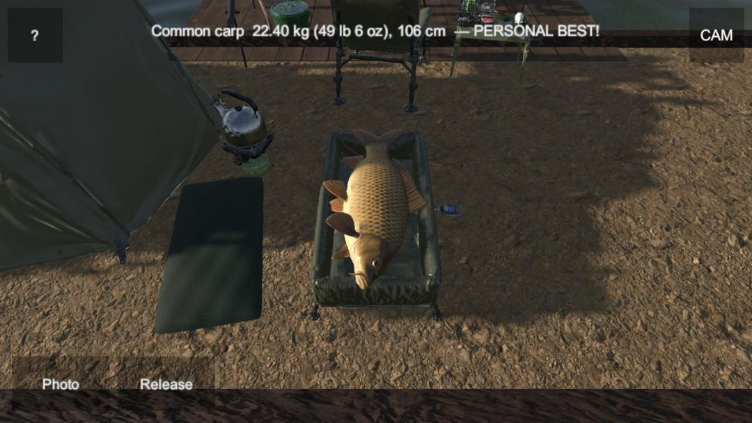 Carp Fishing Pro1.0.2 ģ�����