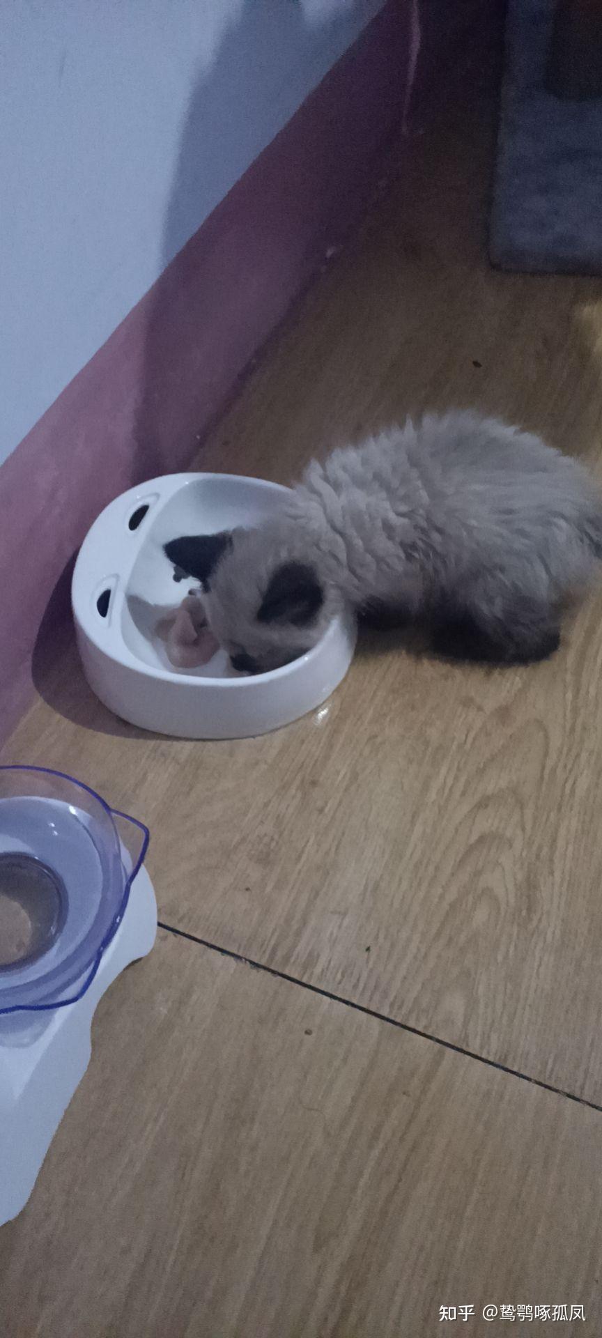 è�����ռ����������ճ���¼ʵ��ͼ