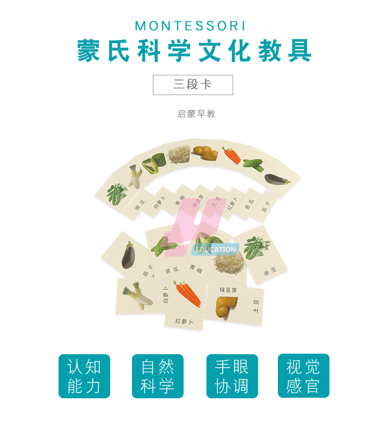 蒙氏语言 安卓版 三段卡教具界面截图