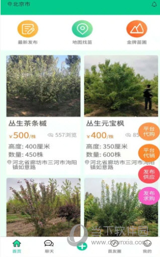 苗木人 安卓版 使用教程