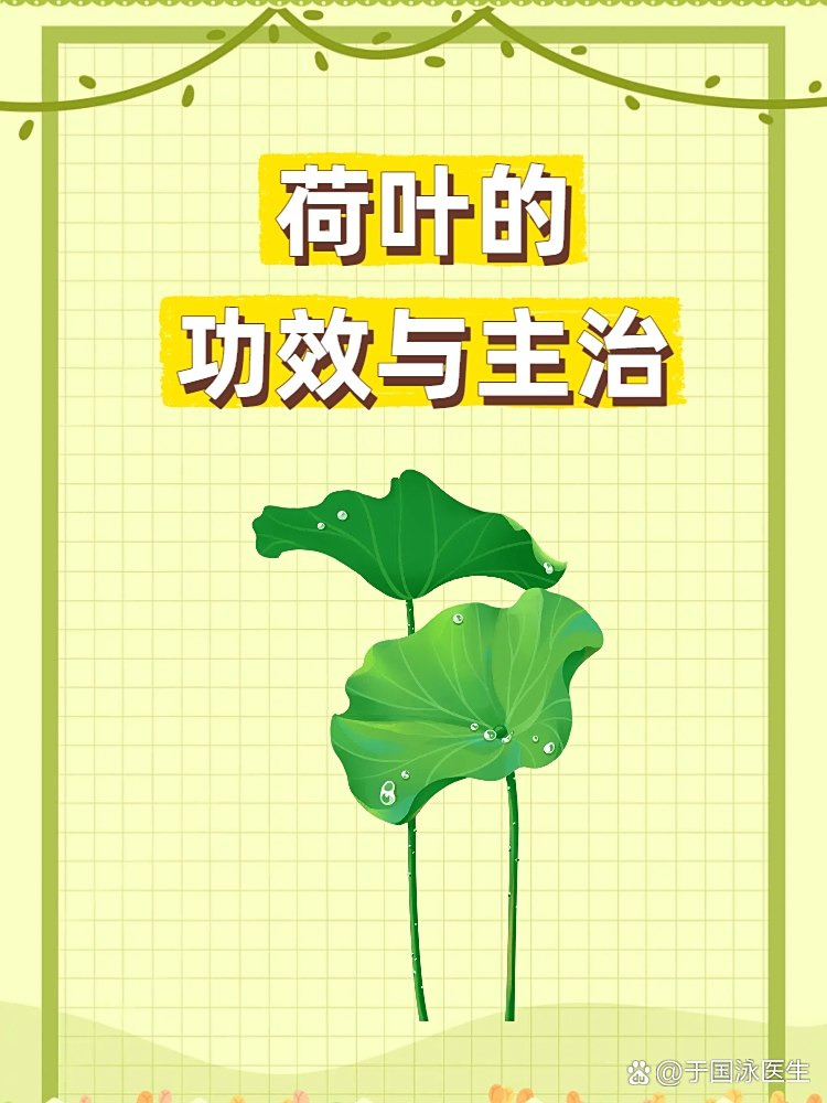 荷叶健康日常饮食调理配图